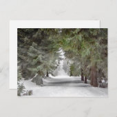 Foto "Forest Road Snow Pine Tree" Postkarte (Vorne/Hinten)