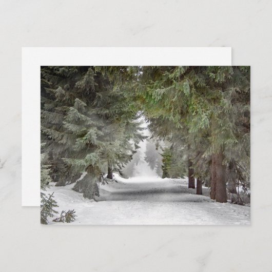 Foto "Forest Road Snow Pine Tree" Postkarte (Vorne/Hinten)