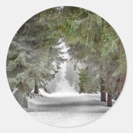 Foto "Forest Road Snow Pine Tree" Runder Aufkleber