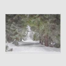 Foto "Forest Road Snow Pine Tree"
