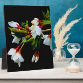 Foto Fotoplatte (Seite)