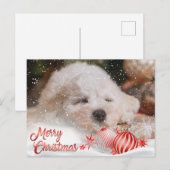 Foto Frohe Weihnachts-Overlay-Haushalt Feiertagspostkarte (Vorne/Hinten)