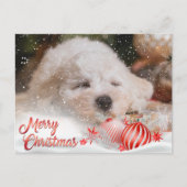 Foto Frohe Weihnachts-Overlay-Haushalt Feiertagspostkarte (Vorderseite)