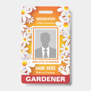 Foto Frohe White Daisies Orange Identifikation Ausweis
