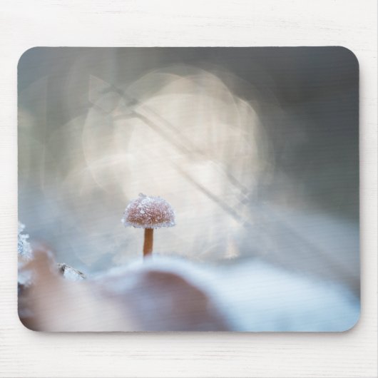 Foto "Frozen Mushroom Nature" Mousepad (Vorne)