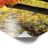 Foto für Ahornbaum drucken (Ecke)