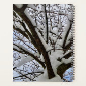 Foto für Baumkronen mit eigenem weißem Schnee - Planer (Rückseite)