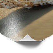 Foto für Beach Muschel (Ecke)