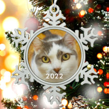 Foto für benutzerdefinierte Tierfamilie