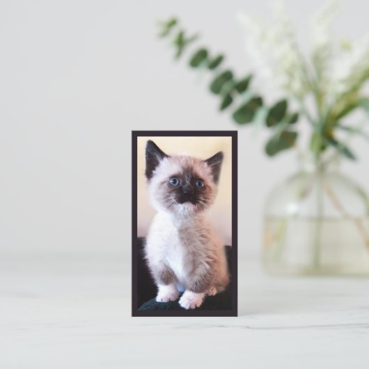 Foto für Berufliche Tierpflege Visitenkarte (Stehend Vorderseite)