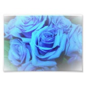 Foto für blaue Rose (Vorne)