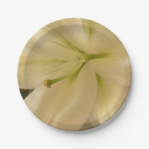 Foto für Blume von White Lillum Teller für kundens