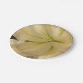 Foto für Blume von White Lillum Teller für kundens (Schrägansicht)