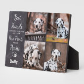 Foto für das beste Freund-Beileid des Mannes Fotoplatte (Seite)