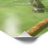 Foto für den Handstand der Libellen (Ecke)