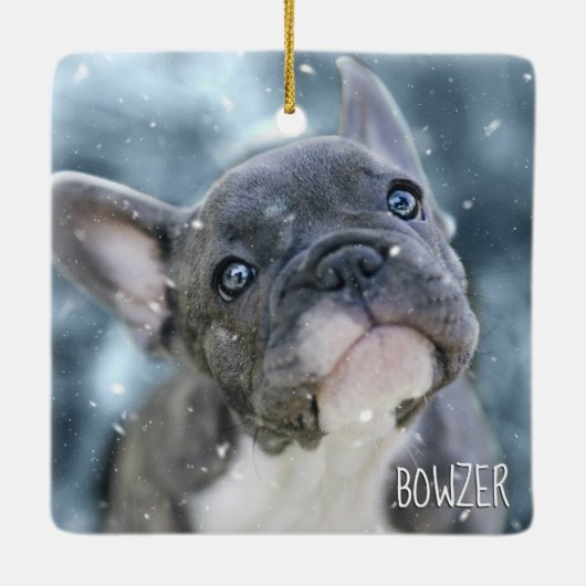 Foto für den personalisierten besten Hund oder Wel Keramikornament (Rückseite)