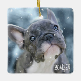 Foto für den personalisierten besten Hund oder Wel Keramikornament