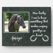 Foto für den Verlust von Pferden Fotoplatte (Vorderseite)