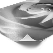 Foto für die B&W-Blume (Ecke)