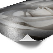 Foto für die B&W-Blume (Ecke)