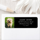 Foto für die benutzerdefinierte Rücksendeadresse I (Insitu)