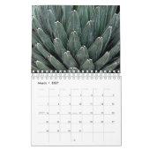 Foto für die Blume Kalender (Mär 2027)