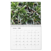 Foto für die Blume Kalender (Jan 2026)