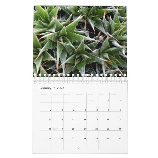 Foto für die Blume Kalender (Jan 2026)