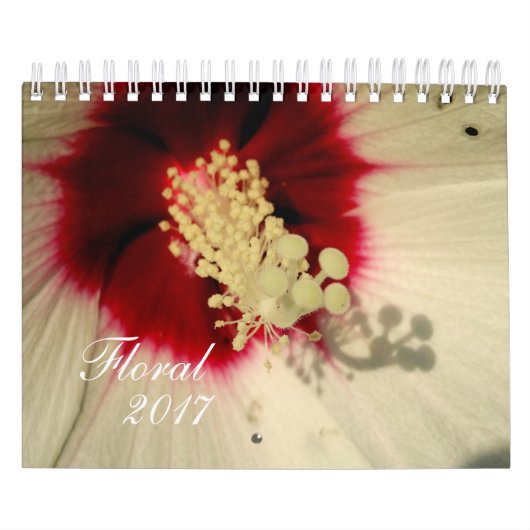 Foto für die Blume Kalender (Titelbild)
