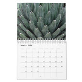 Foto für die Blume Kalender (Mär 2026)