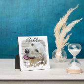 Foto für die Hunde Paw Herz Unendlichkeit Beibehal Fotoplatte (InSitu)