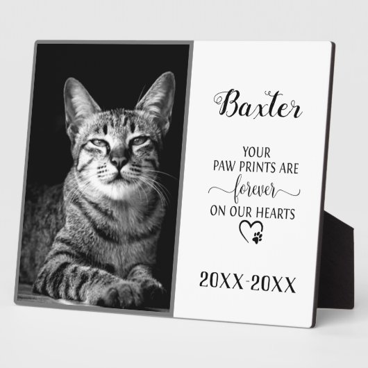 Foto für die individuelle Begutachtung Fotoplatte (Seite)