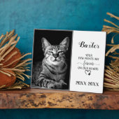 Foto für die individuelle Begutachtung Fotoplatte (Seite)