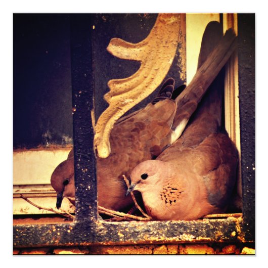 Foto für die Vorbereitung (Vorne)