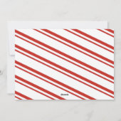 Foto für einen schönen Urlaub Feiertagskarte (Rückseite)