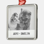 Foto für einfache, moderne Haustiere oder Personen Ornament Aus Metall (Links)