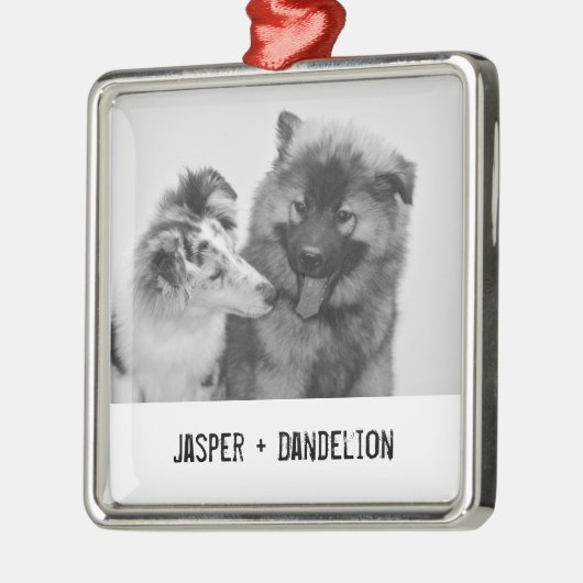 Foto für einfache, moderne Haustiere oder Personen Ornament Aus Metall (Links)