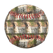 Foto für Haustiere Baseball (Rückseite)