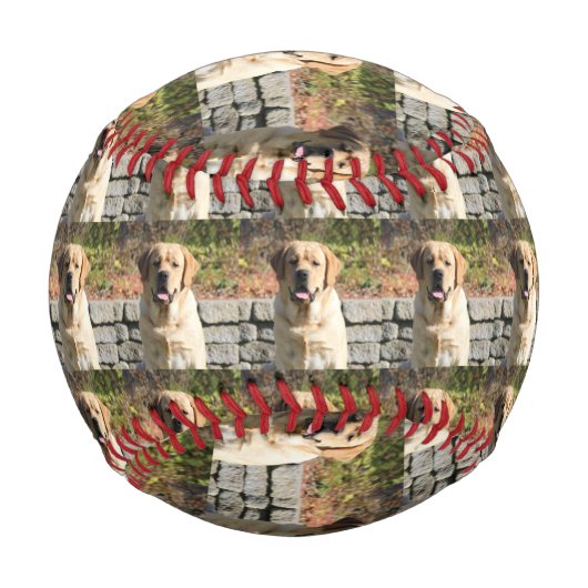 Foto für Haustiere Baseball (Rückseite)