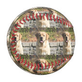 Foto für Haustiere Baseball (Vorderseite Links)