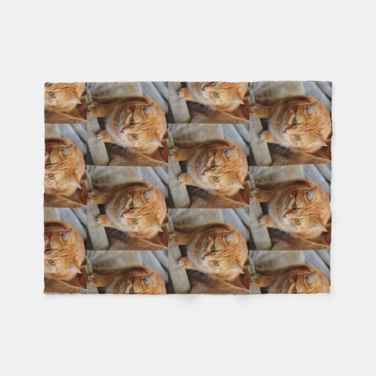 Foto für Haustiere Erstellen Sie Ihre eigene Hunde Fleecedecke (Vorderseite (Horizontal))