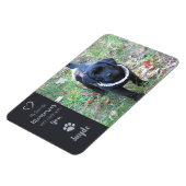 Foto für Haustiere - Foto für Hunde - Katzen-Foto Magnet (Linke Seite)