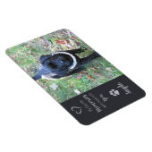 Foto für Haustiere - Foto für Hunde - Katzen-Foto Magnet (Rechte Seite)