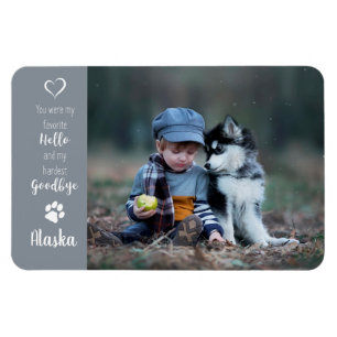 Foto für Haustiere - Foto für Hunde - Katzen-Foto Magnet