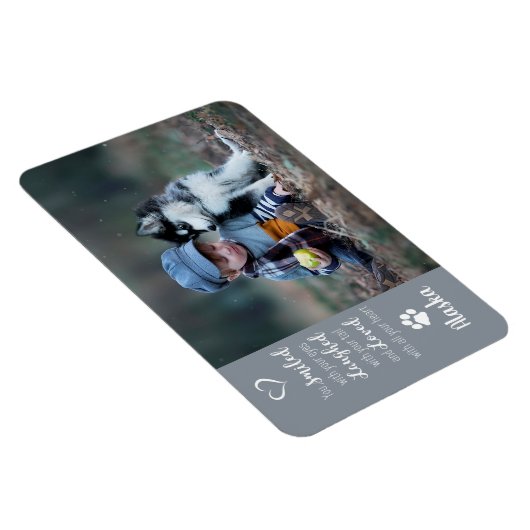 Foto für Haustiere - Foto für Hunde - Katzen-Foto Magnet (Rechte Seite)