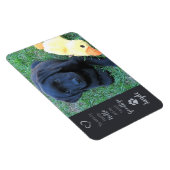 Foto für Haustiere - Foto für Hunde - Katzen-Foto Magnet (Rechte Seite)