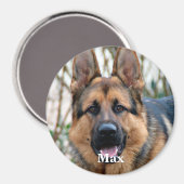 Foto für Haustiere - Hund - Katze - Gedenkstätte f Magnet (Vorderseite/Rückseite)