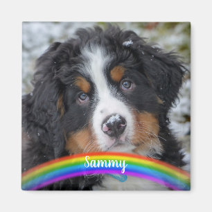 Foto für Haustiere - Hund - Katze - Gedenkstätte f Magnet