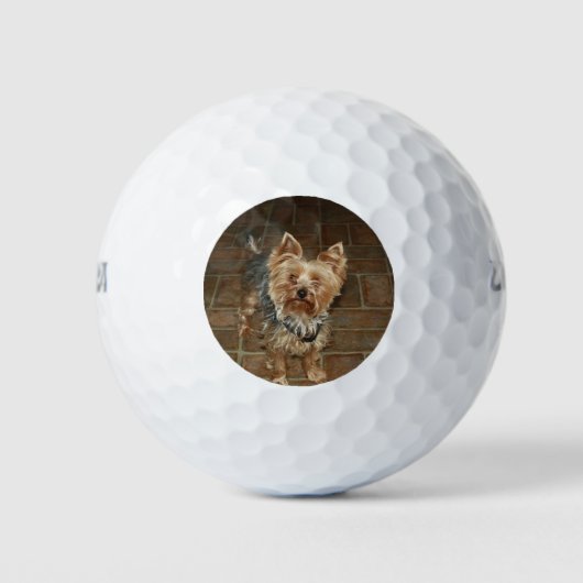 Foto für Haustiere oder Familienmitglieder Golfball (Vorderseite)