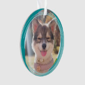 Foto für Haustiere Ornament (Vorderseite)